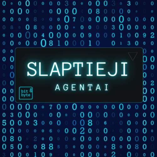 Stovykla slaptieji agentai 2026